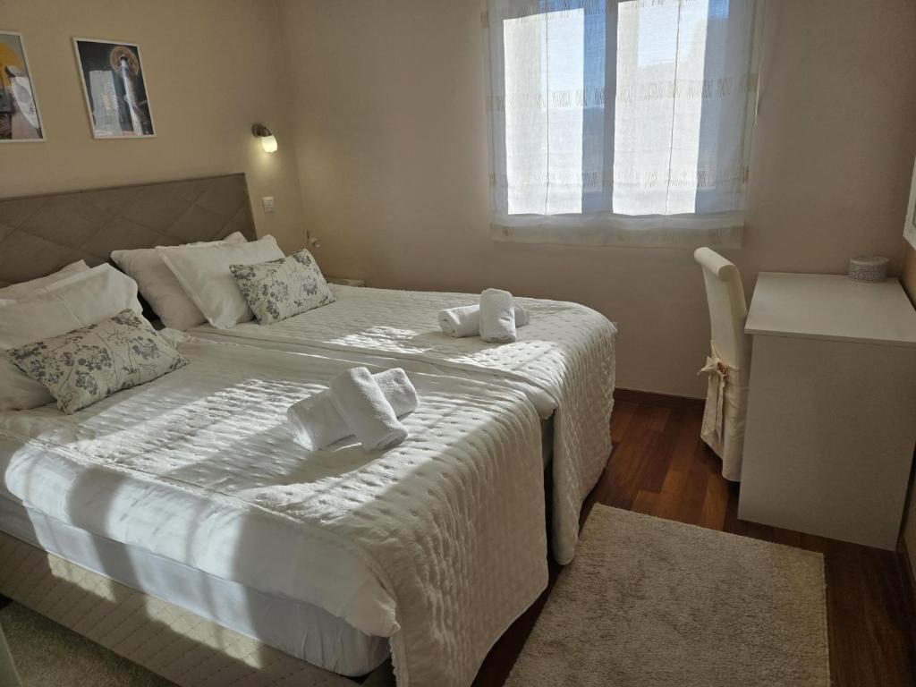 Apartments Luana - Zadar, Dalmatia